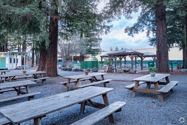 The Healdsburg School challenges and encourages children to learn.