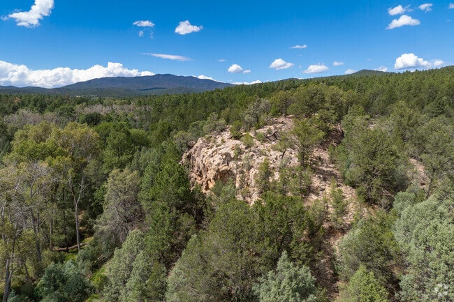 Dense tree line of the Santa Fe National Forest near Cañoncito.
