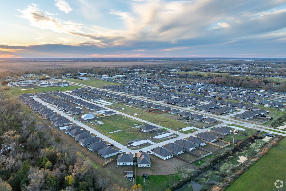 NH_Gray_558455_P2_v2_JB_022625