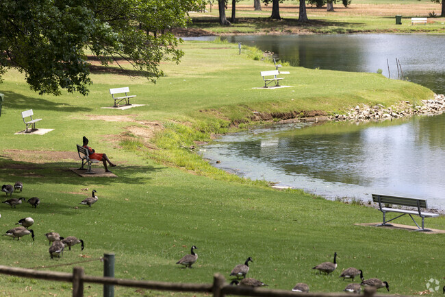 There are benches around the lake at Braha Spring Park to sit and enjoy the secene.