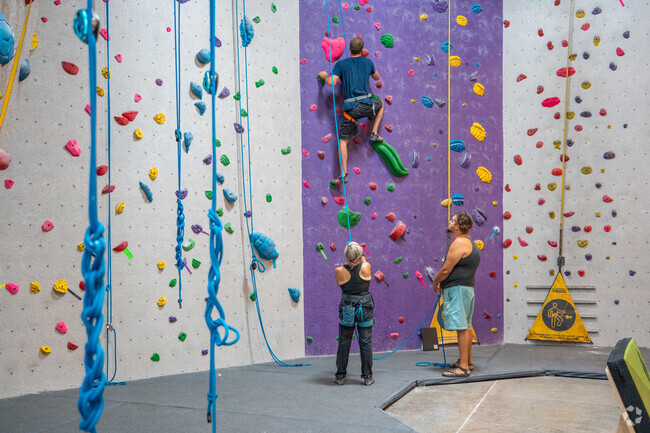 Learn how to harness and belay at Climb Lafayette near Sherwood.