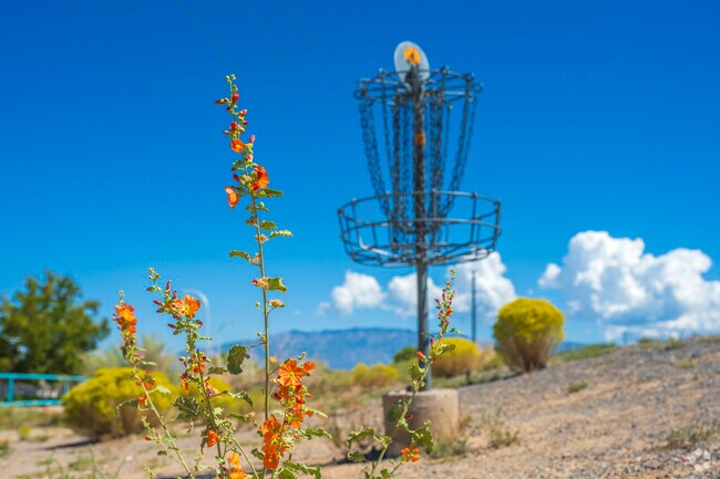 The Ladera Disc Golf Course winds through desert landscapes with scenic views.