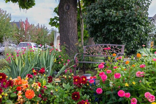 Flowers bloom in front of a bench in SE Morningside.
