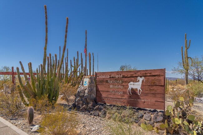 The entrance to Cabeza Prieta National Wildlife Refuge marks the start of over 900,000 acres of protected desert wilderness, home to unique wildlife and rugged trails near Ajo.