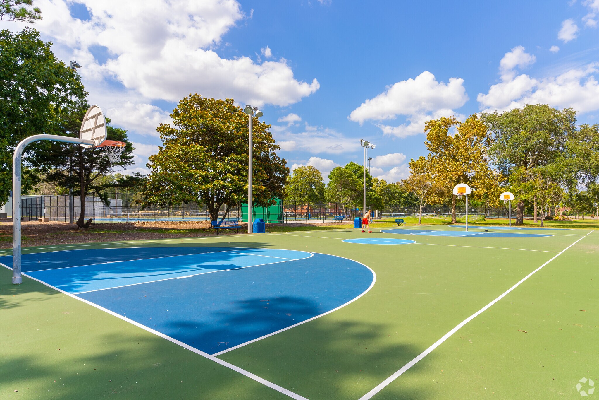 About Myrtle Beach Schools, Demographics, Things to Do