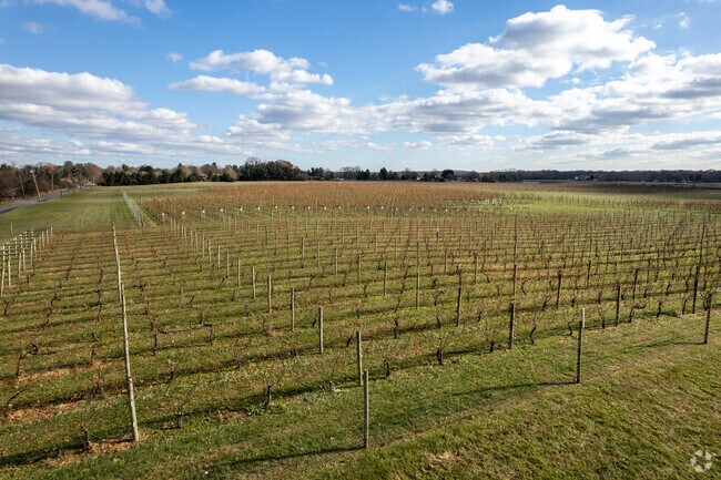 Working Dog Winery grows the grapes for their wine, minutes from East Windsor.