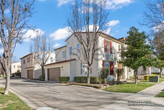 2464 Basswood Dr, San Ramon, CA 94582