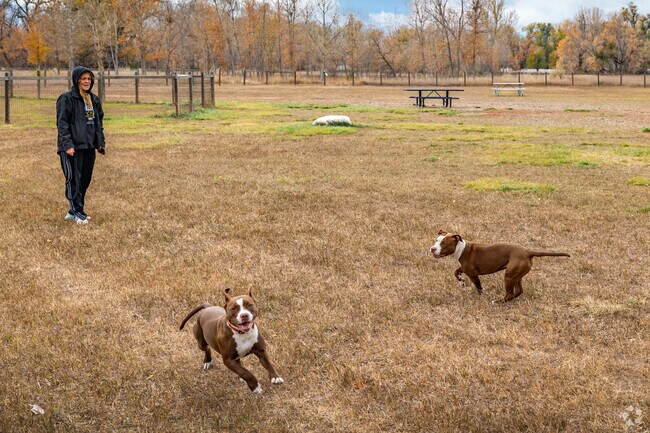 The best feature of Soft Gold Park in Fort Collins is the dog park.