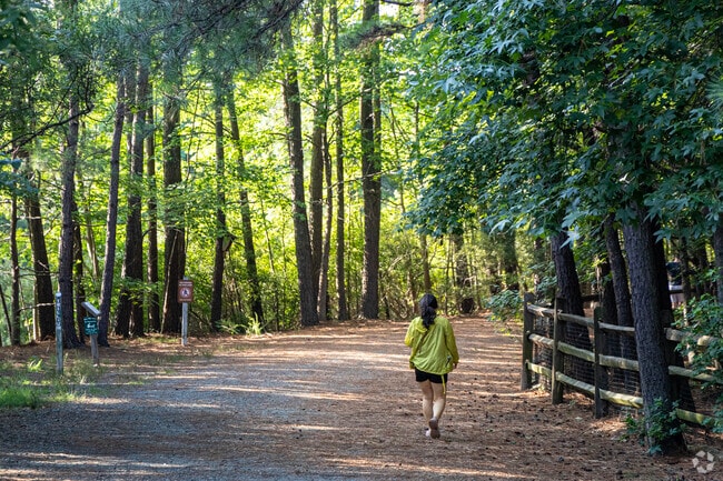 Near Morrison, Sandy Bottom Nature Park features miles of dog-friendly hiking trails and walking paths for outdoor lovers.