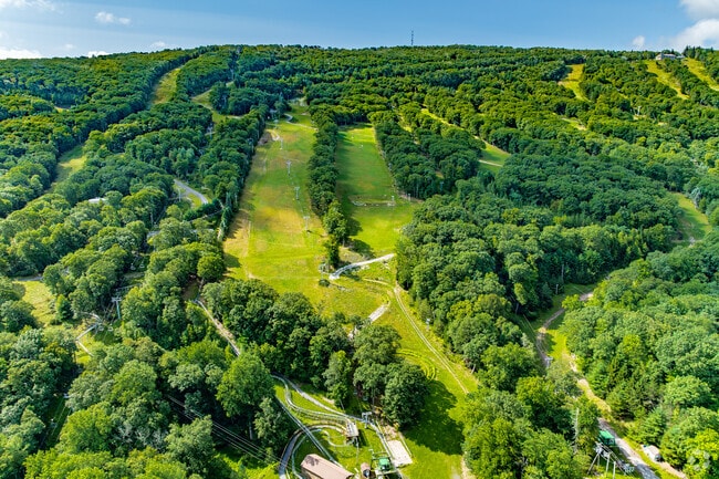 Camelback Mountain has two challenging hiking trails, which are   Echo Canyon and Cholla.