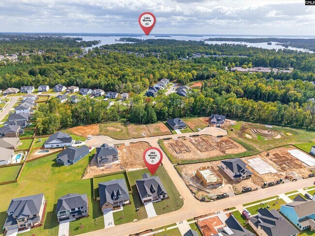 293 Murray Falls Ln, Chapin, SC 29036 - photo 6