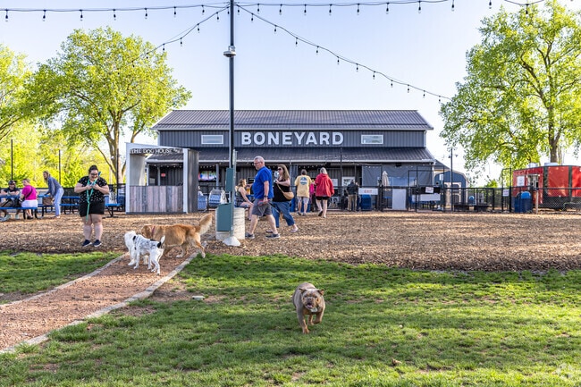 Great beer and happy dogs are the perfect combo at Boneyard in Hawthorne.