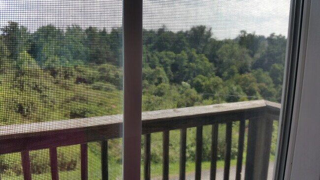 1211 Grants Dr unit 1107, Morgantown, WV 26505 - photo 5