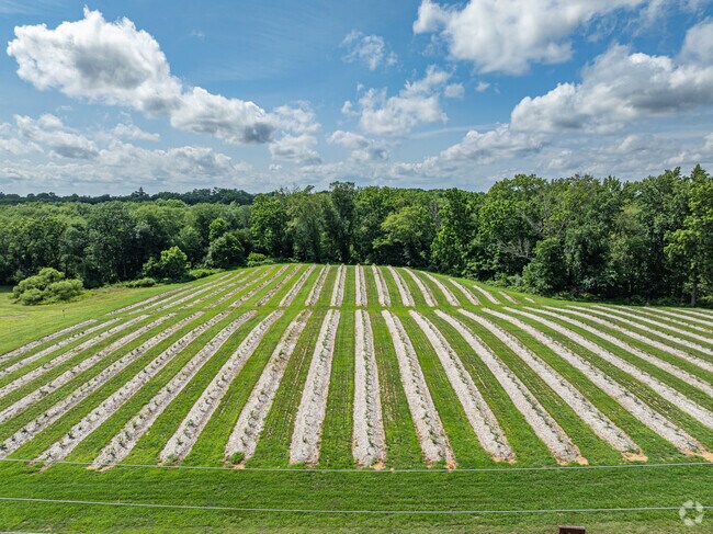 Local farms and orchards, like Battleview Orchards, bring a touch of rural charm and seasonal community activities to the area.