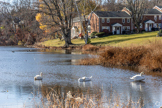 You can find wildlife like beautiful swans in the neighborhood of Grove Street.