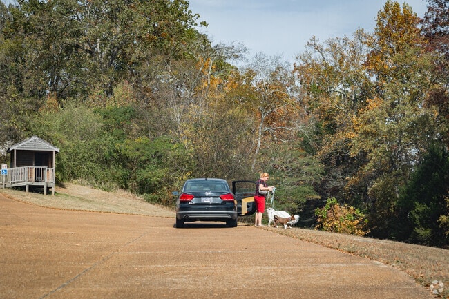 Nature escapes are easy to find in Blue Spring's scenic spaces.