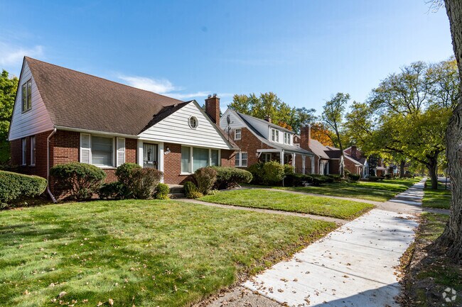Rows of homes line the streets of Miller Grove, Detroit.