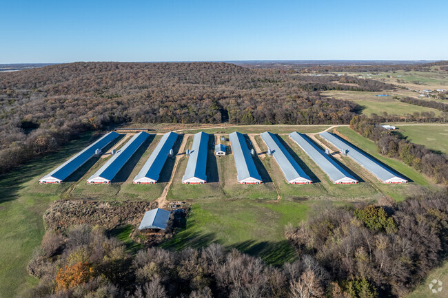 Poultry farms are common across the Summers neighborhood, employing many.