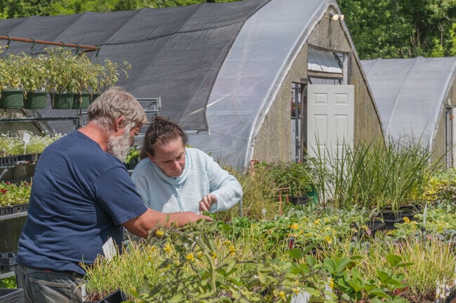 Seekonk is home to R&R Farms, a local source of greenhouse plants and fresh vegetables, amny grown on site.