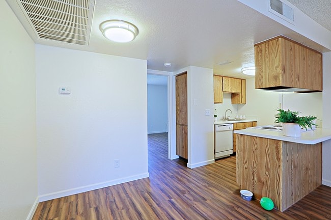 Butterfield Park, Tempe, AZ 85281 - photo 4