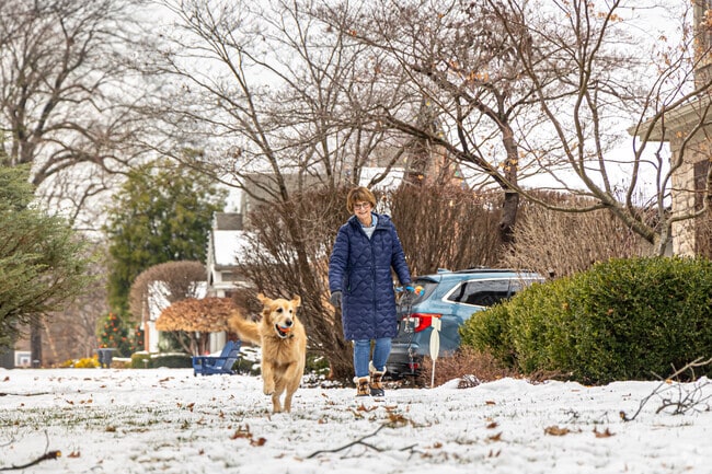 Armour Fields neighborhood had a distinct charm, enjoyed by residents;  two & four legged.