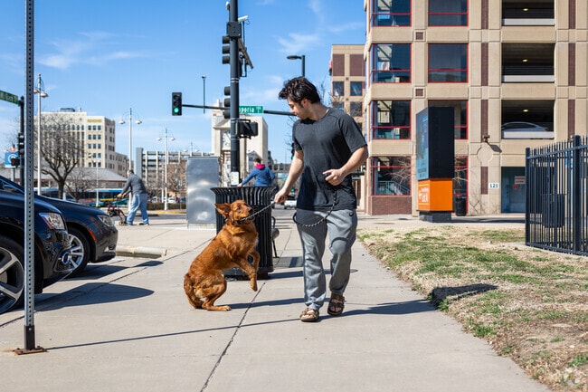 Take your dog for a walk in Old Towne, just around the corner from South Central.