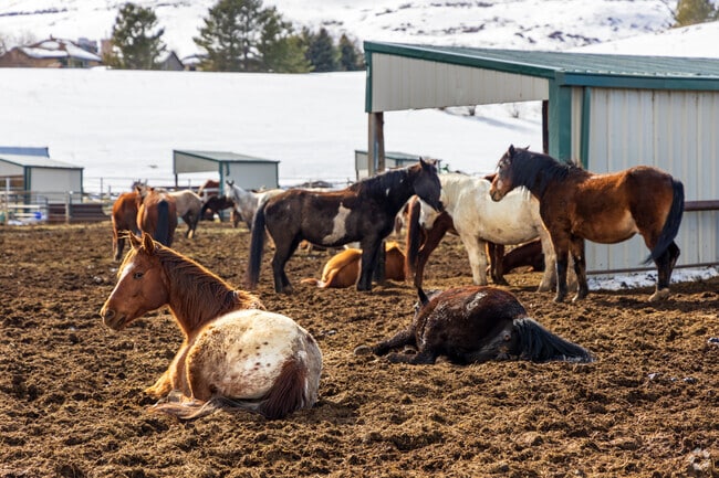 Equestrians can practice their skills at the Jeffco Fairgrounds indoor and outdoor facilities.