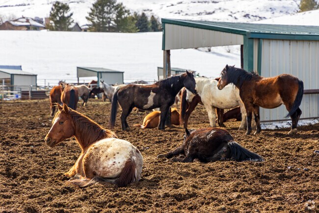Equestrians can practice their skills at the Jeffco Fairgrounds indoor and outdoor facilities.