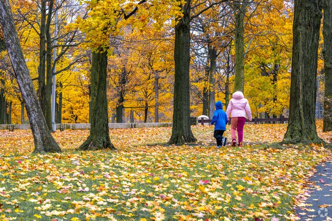 Families often go for a walk through the park in North End.