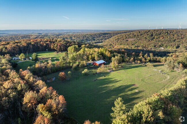 Several farms sprawl across the rolling hills of Summerhill.