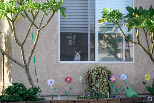 In Ocotillo, you will find quiet streets, well-kept front yards and friendly neighbors.