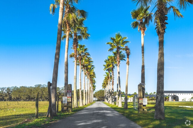 The palm-flanked entrance to Scars Farm in Alturas sets the scene for memorable events.