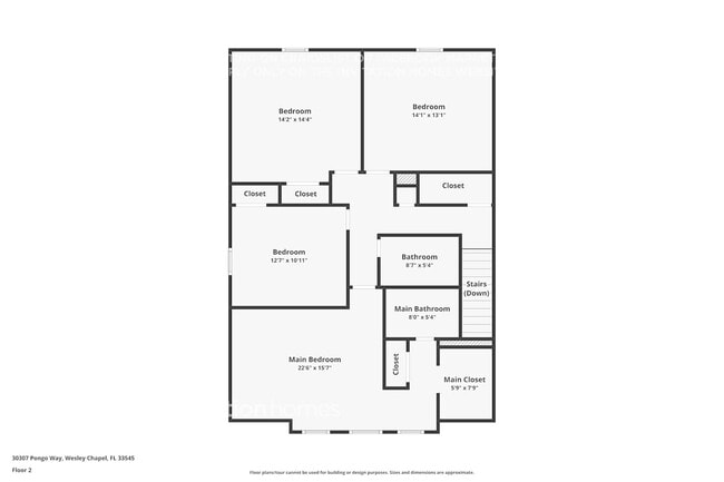 30307 Pongo Way, Wesley Chapel, FL 33545 - photo 4