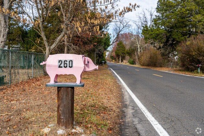 These homeowners in Chesilhurst show their individuality with a whimsical, pig mailbox.