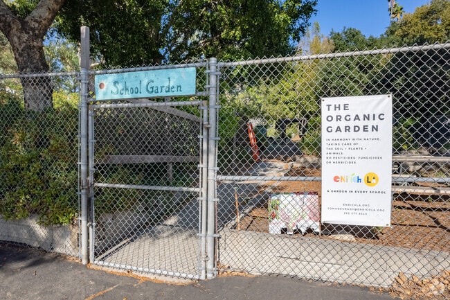 DDES students learn about plants through hands-on experiences in the School Garden.