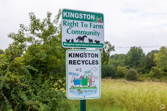 Positive environmental signs decorate the roadways of Kingston.