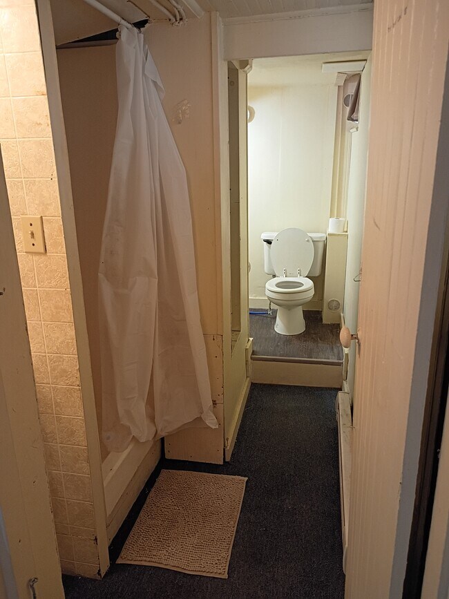 65 13th St unit Basement, Troy, NY 12180 - photo 4