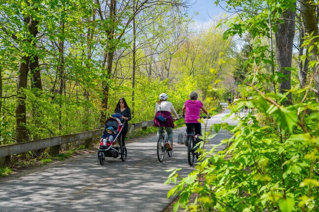 The Minuteman Bikeway is the best place for anyone who wants to get outside in East Arlington.