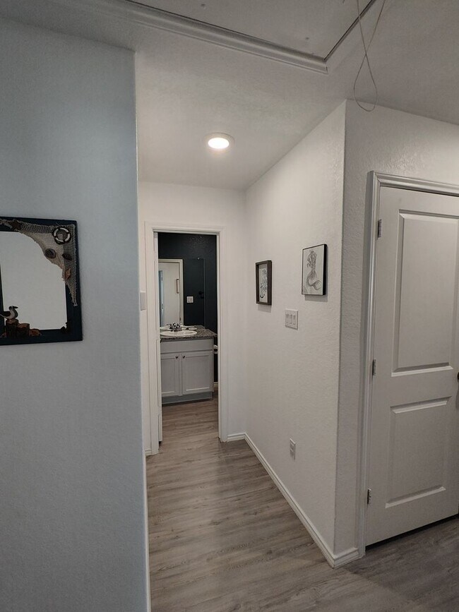 12911 Chinali Springs, Saint Hedwig, TX 78152 - photo 7