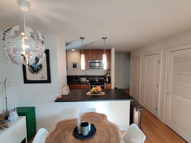 Audubon Park unit 304, Boston, MA 02215 - photo 2