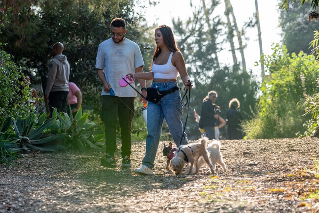 Check out Arlington Garden a local hotspot for walks and a chance to be surrounded by nature.