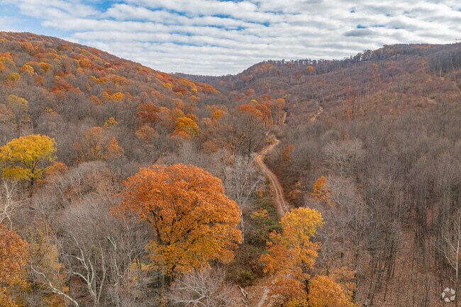 Hunters and outdoorsmen enjoy State Game Lands Number 138.