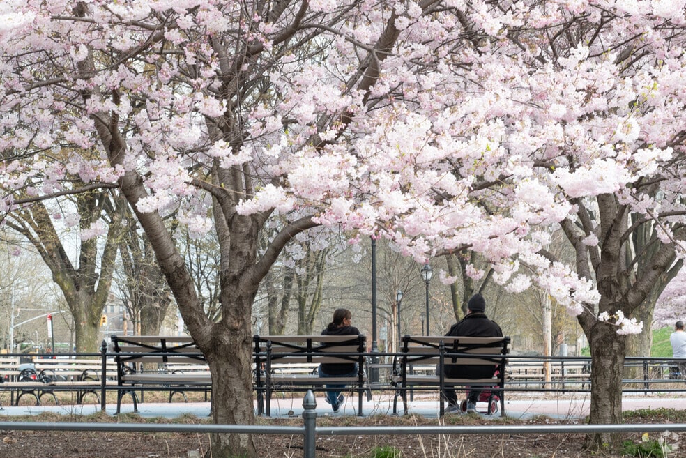 Melrose_527204_DS_091725_final