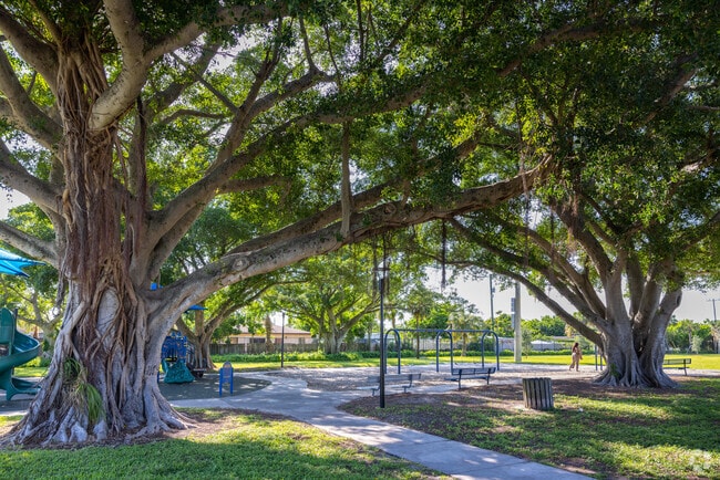 Kids playground is covered by this beautiful large tree that gives natural shade to the residents