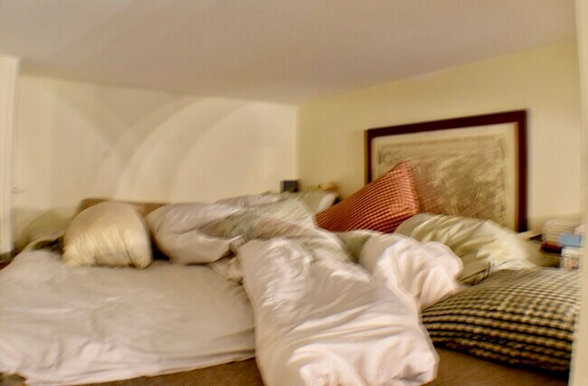 53 E Springfield St unit 2, Boston, MA 02118 - photo 5