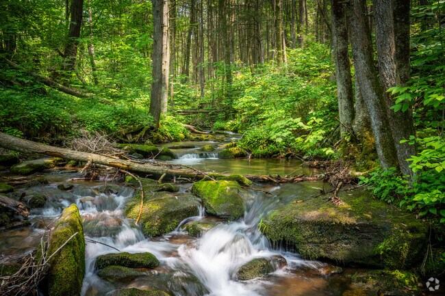 Natural beauty is always close by when you live in Hepburn Township.