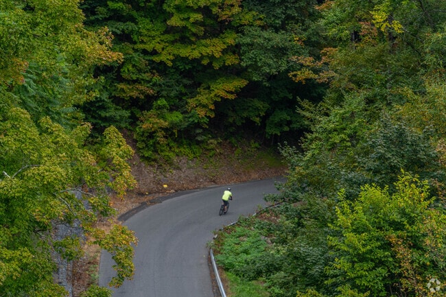 Take a bike ride along the winding roads of Clintondale.