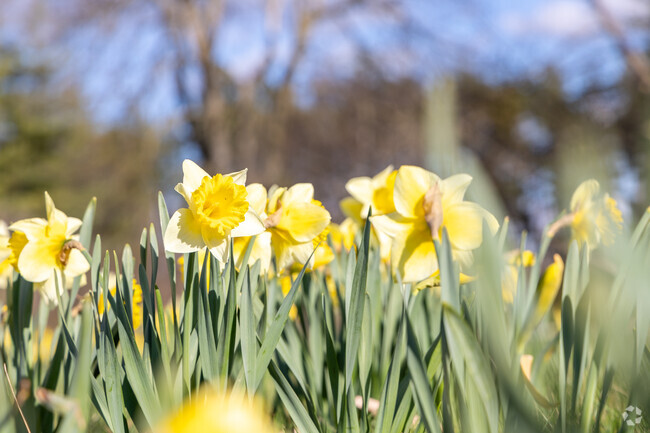 Nature is always nearby in Peach Creek.