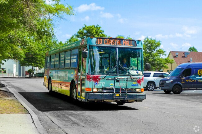 There are Coast RTA buses along Route 501 in Pine Island.