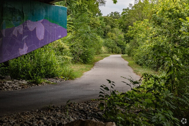 Residents enjoy walking or biking along the river trail at the Roanoke River Greenway.